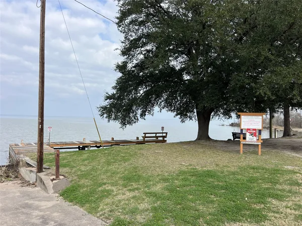 a view of a yard with an tree