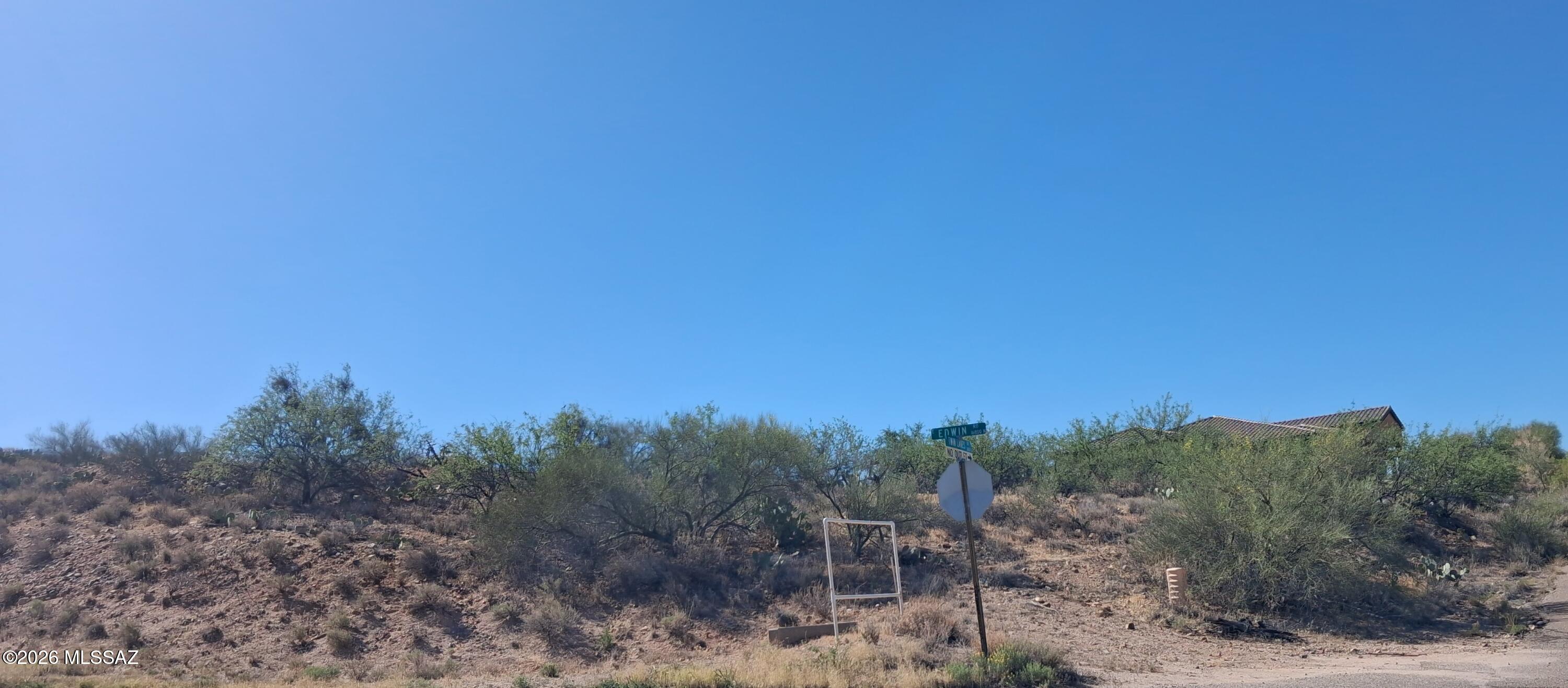 3630 East Edwin Road Tucson, AZ 85739 - Photo 6 of 6 a view of a bunch of trees in a field