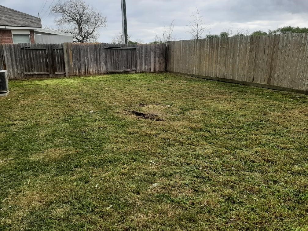 14926 Diamond Way Baytown, TX 77523 - Photo 12 of 12 a view of a backyard with large trees