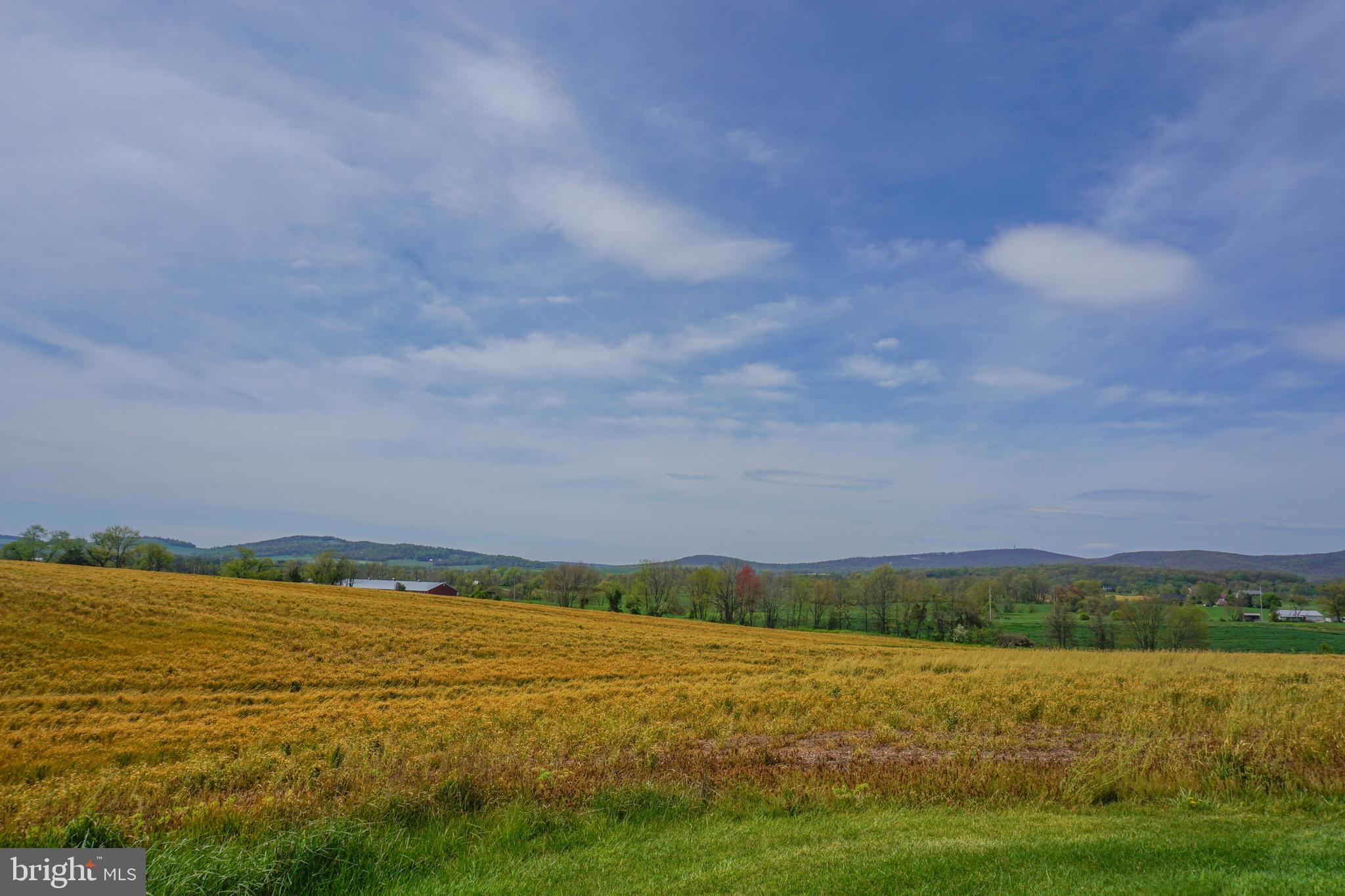 730 County Line Road Dillsburg, PA 17019 - Photo 22 of 45 Gallery Image 22