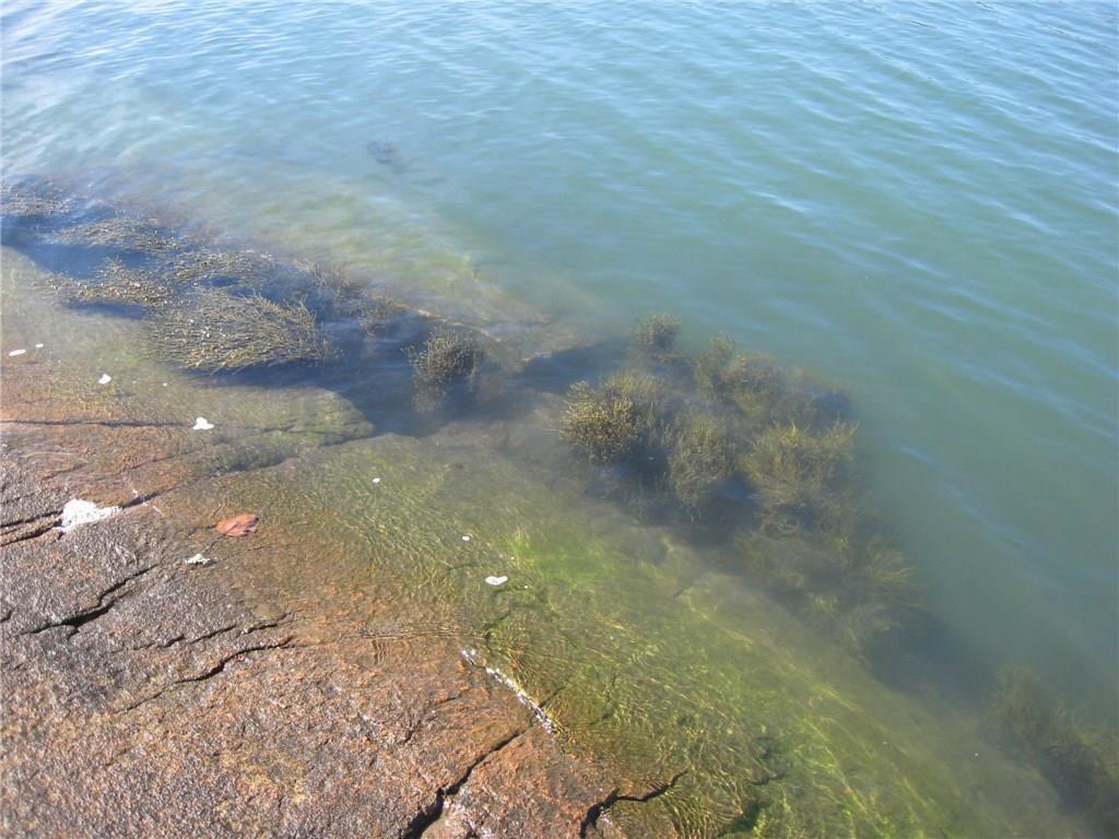 Lot 73 Goods Point Road Steuben, ME 04680 - Photo 3 of 5 Photo