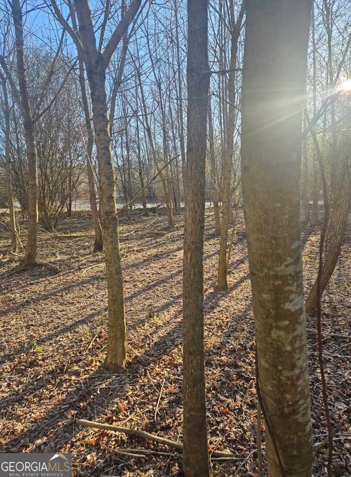 0 Lebanon Church Road Jefferson, GA 30549 - Photo 2 of 15