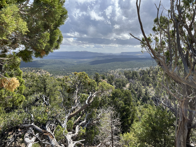 38 Broken Branch Road, Unit 38 Kanab, UT 84741 - Photo 28 of 53 Expansive natural landscape featuring a broad valley, distant mountains, and dense evergreen foliage