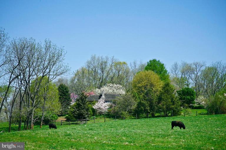 9422 Maidstone Road Delaplane, VA 20144 - Photo 2 of 2 Other #1