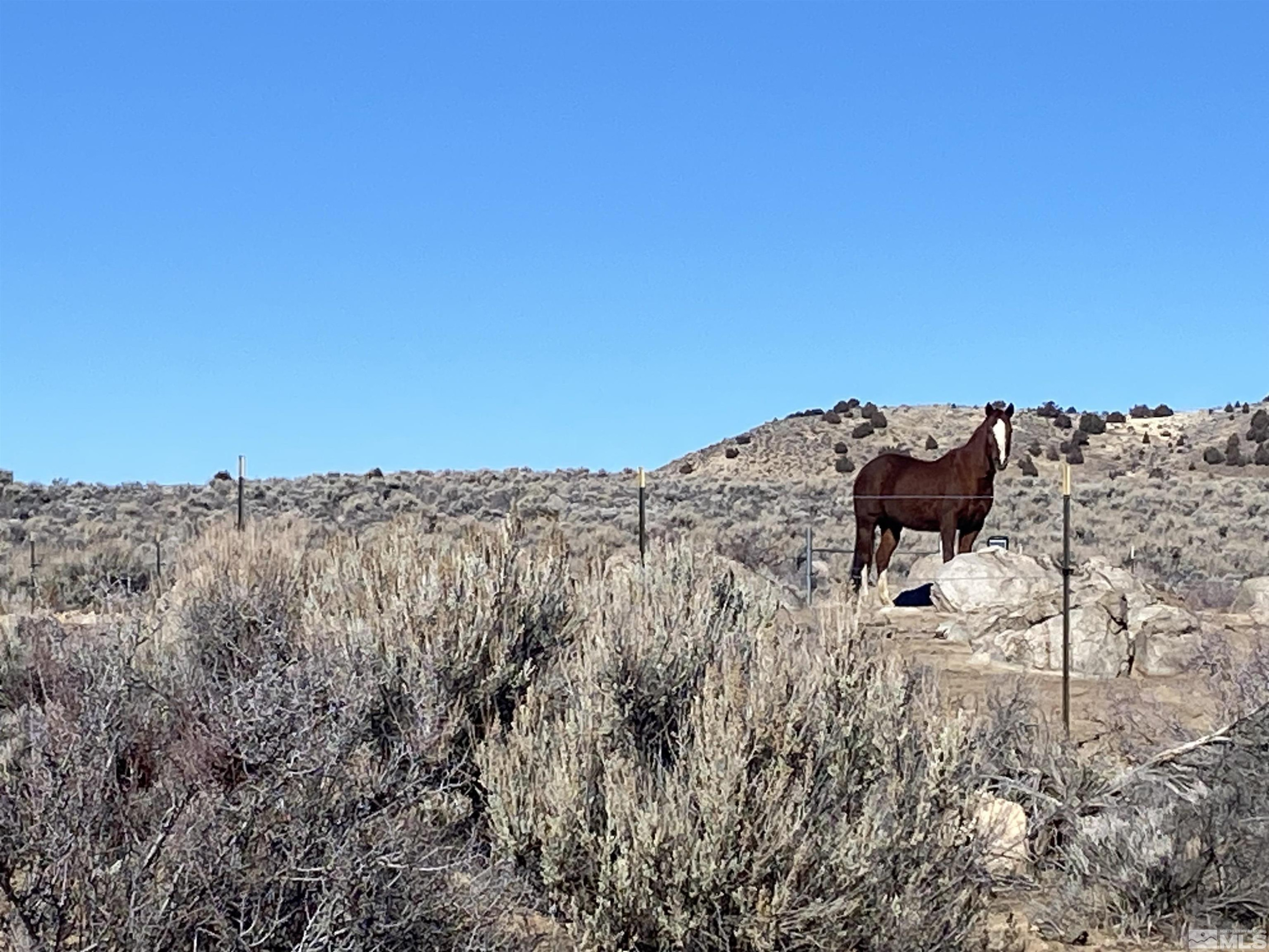 275 Quarterhorse Circle, Unit 202 Reno, NV 89508 - Photo 3 of 9 Photo 3