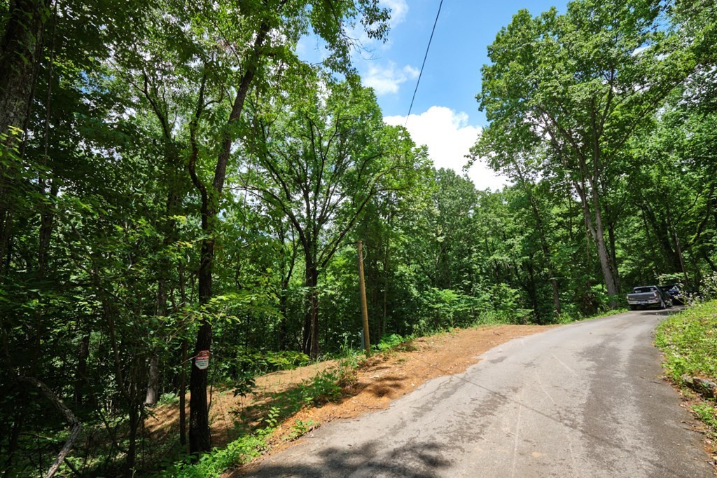 0 Blowing Cave Road Sevierville, TN 37876 - Photo 34 of 34 Gallery Image 34