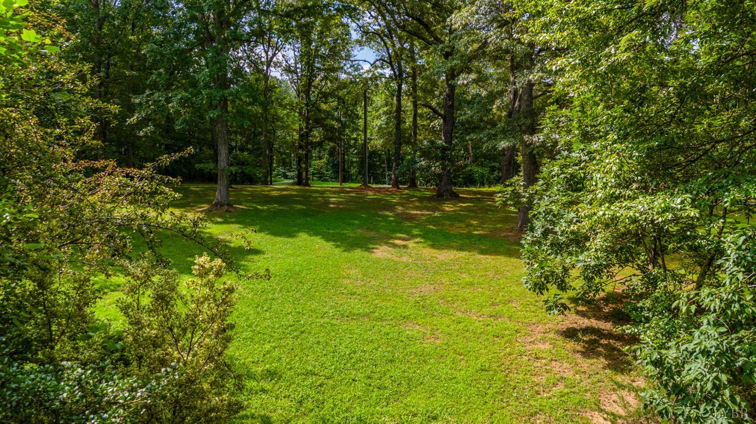 378 Watt Abbitt Road Appomattox, VA 24522 - Photo 13 of 68 Gallery Image 13