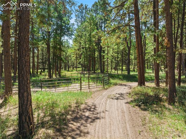 10155 Hardy Road Colorado Springs, CO 80908 - Photo 46 of 50 Gallery Image 46