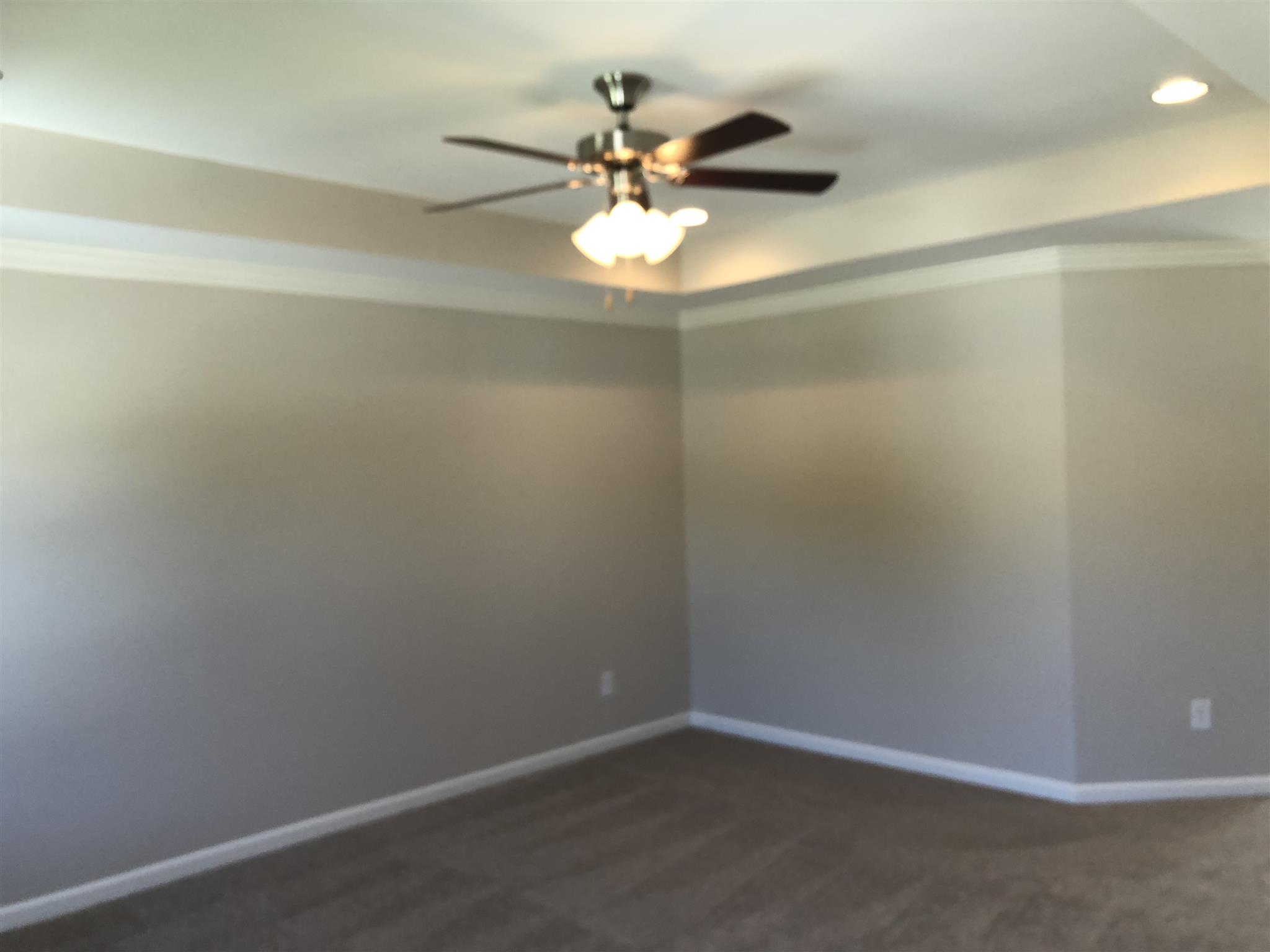 2001 Case Way Fairview, TN 37062 - Photo 7 of 10 Opposite view of the owner's suite.