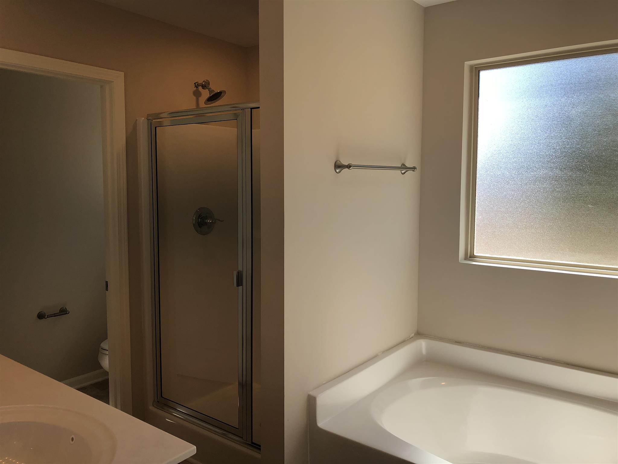 2001 Case Way Fairview, TN 37062 - Photo 9 of 10 Separate shower with seat and soaking tub.