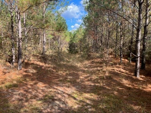 41.6-ac Chalker Road Opp, AL 36467 - Photo 1 of 17 Gallery Image 1