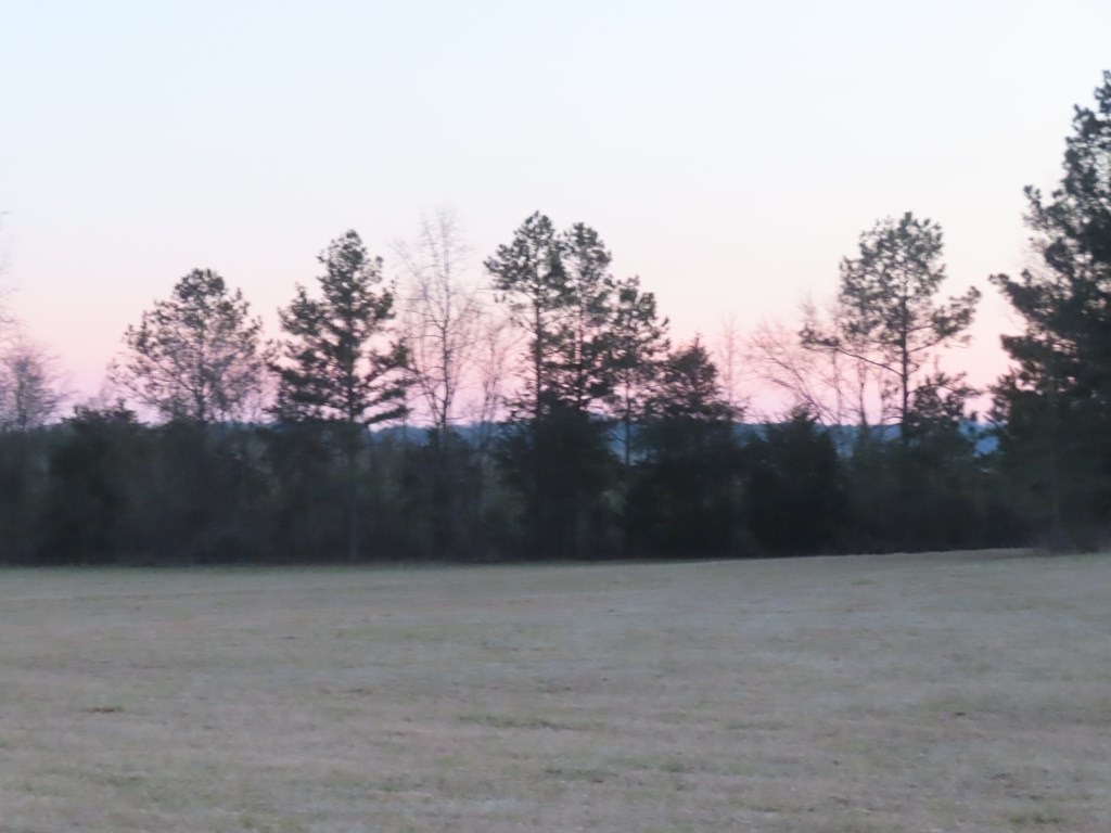2175 Poplar Springs Road Ware Shoals, SC 29692 - Photo 11 of 23