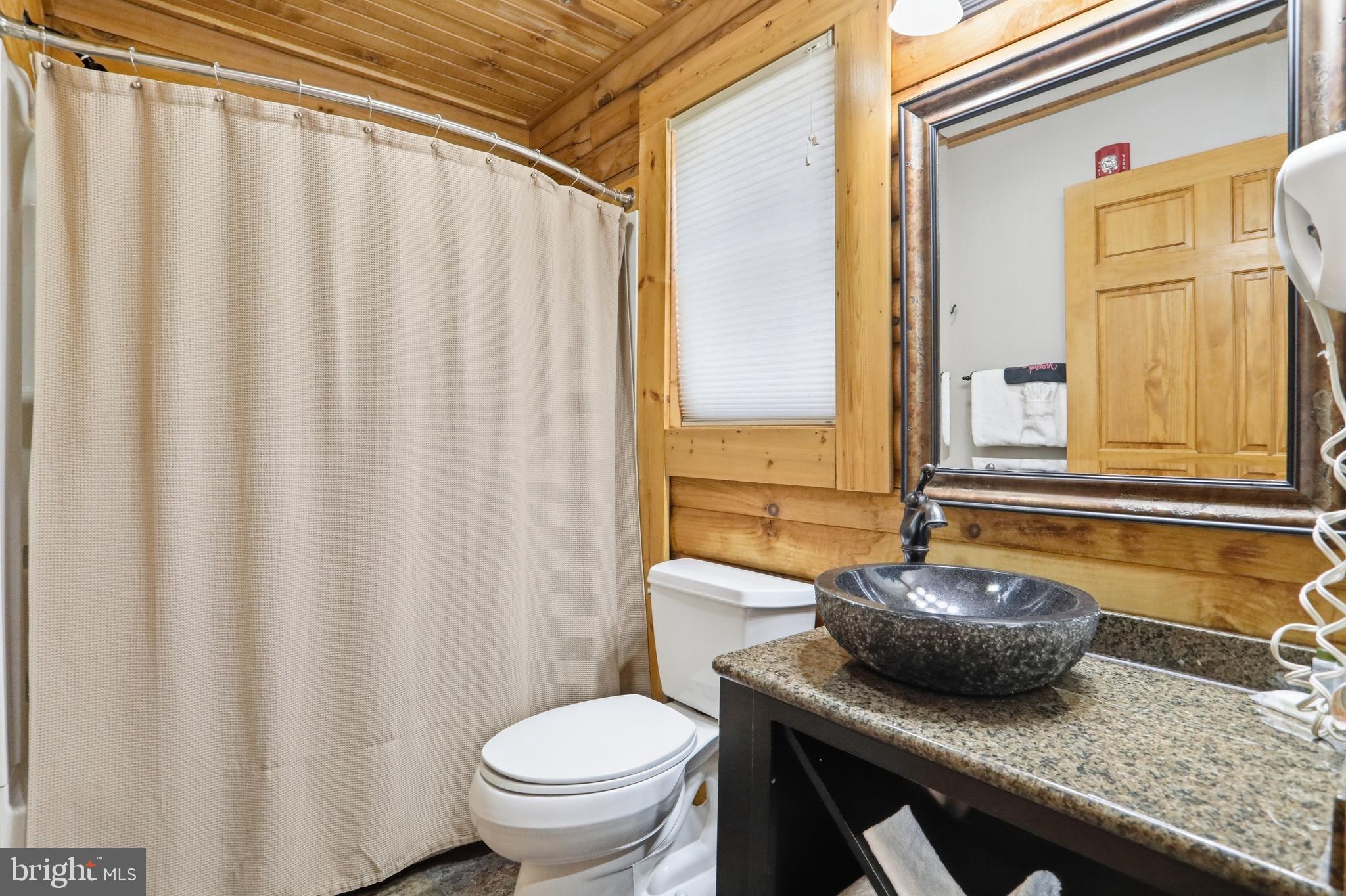 277 Cabin Lodge Road McHenry, MD 21541 - Photo 27 of 29