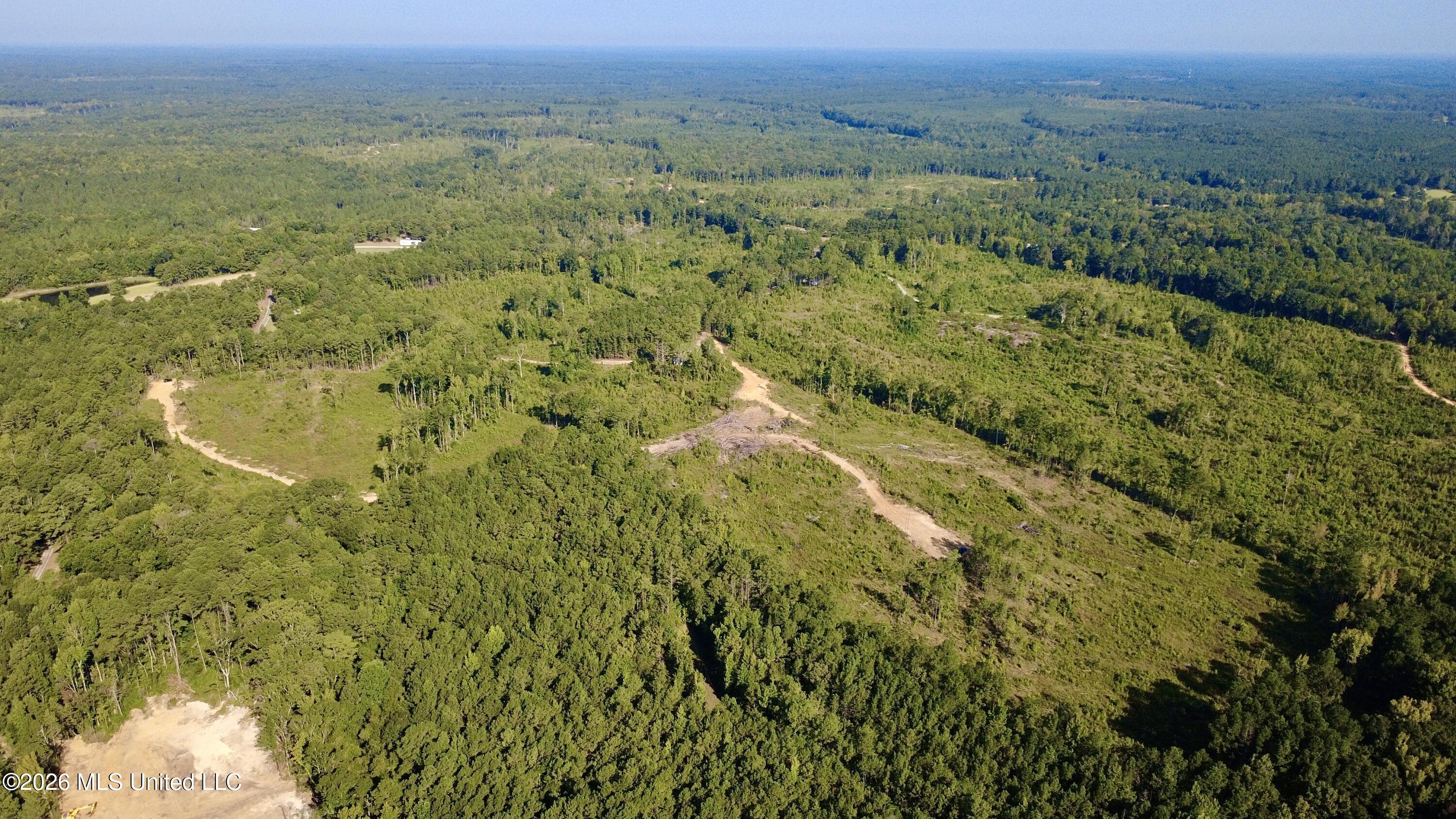 Terry Road Kosciusko, MS 39090 - Photo 2 of 17 DJI_0672