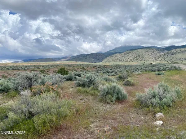 a view of a dry yard