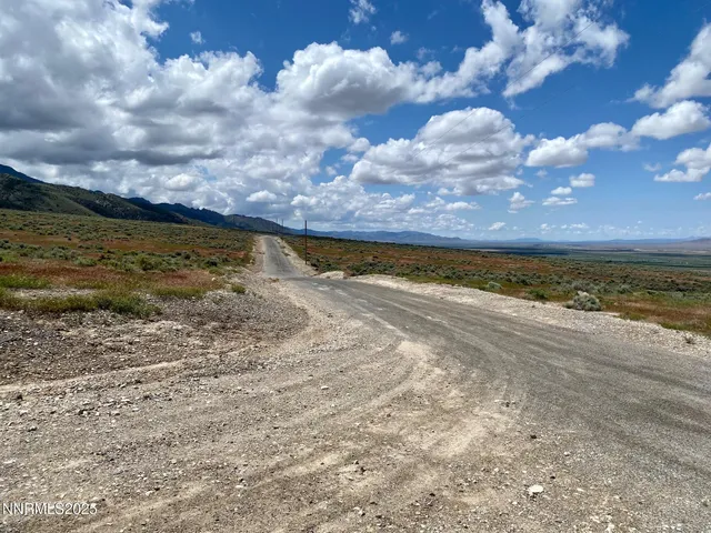 a view of a trees with yard