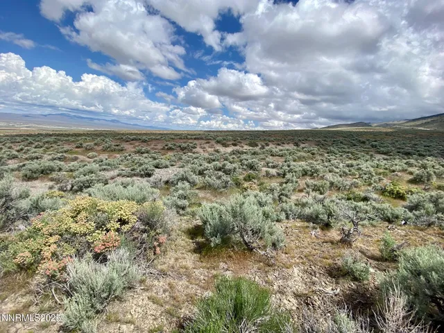 a view of a bunch of trees