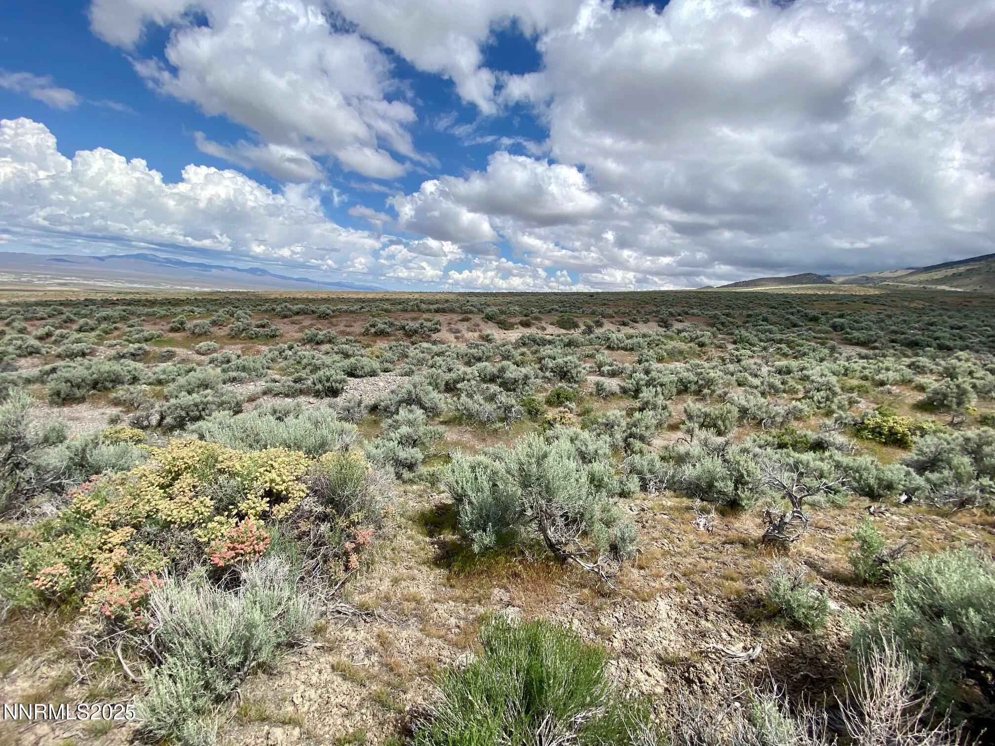 25055 Ramsey Road, Unit 31 Imlay, NV 89418 - Photo 2 of 26 a view of a bunch of trees