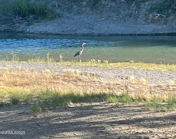 a view of a garden with a bench in front of the house