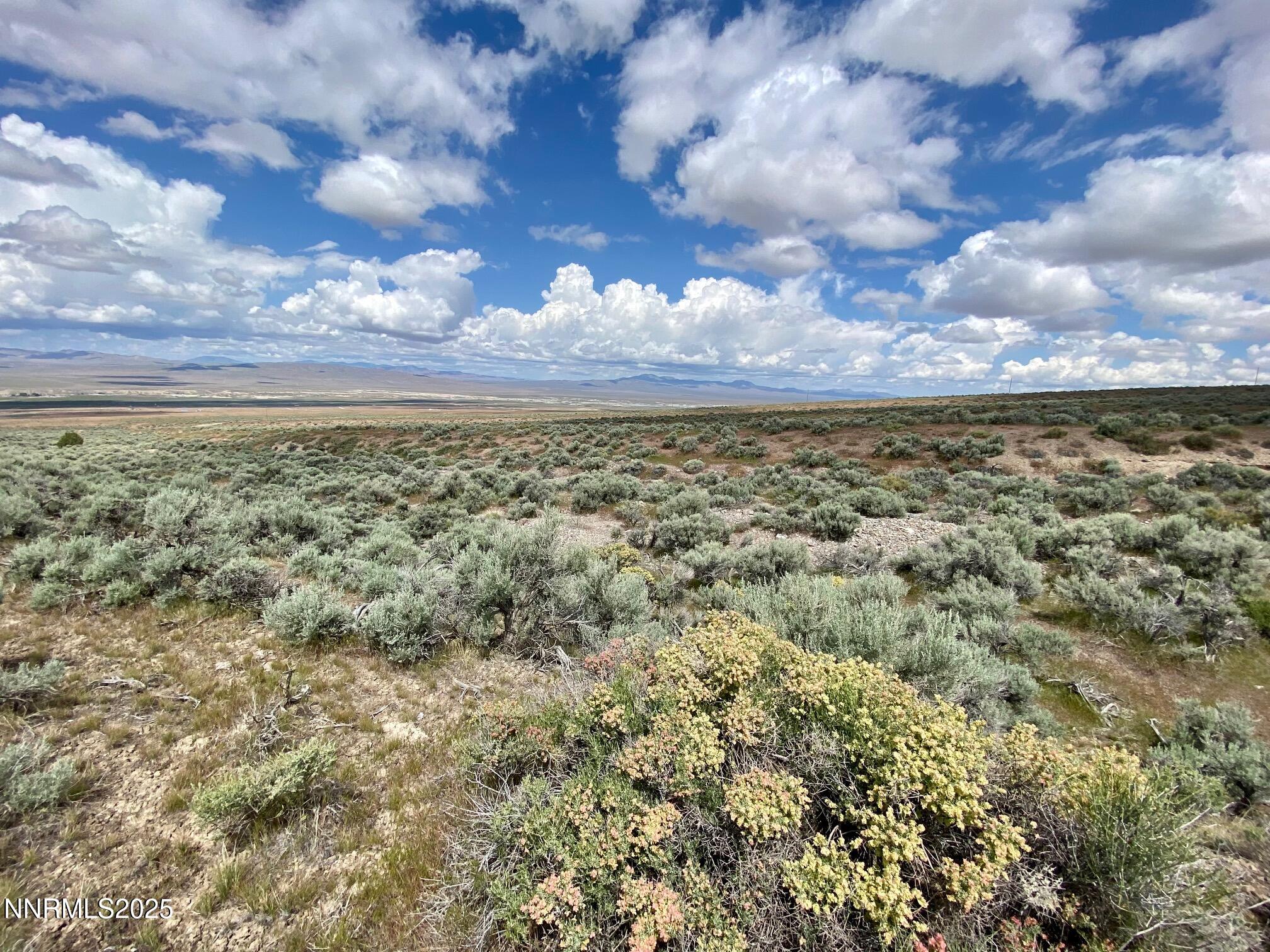 25055 Ramsey Road, Unit 31 Imlay, NV 89418 - Photo 3 of 26 a view of a yard with lots of trees