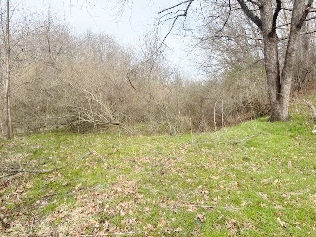 Tbd Rome Road Max Meadows, VA 24360 - Photo 4 of 4 Gallery Image 4