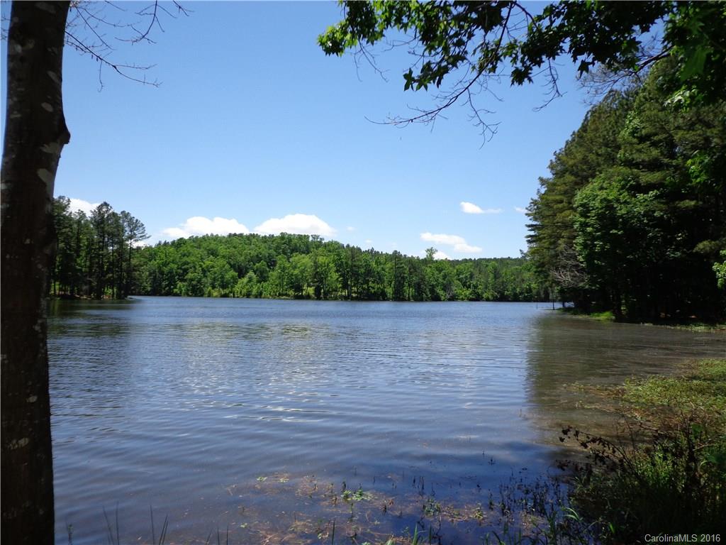 Lot 7 Mountain Lakes Road Chester, SC 29706 - Photo 2 of 15