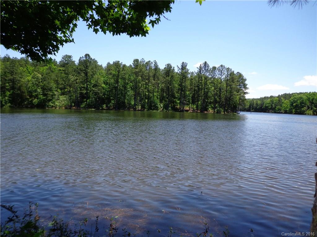 Lot 7 Mountain Lakes Road Chester, SC 29706 - Photo 11 of 15