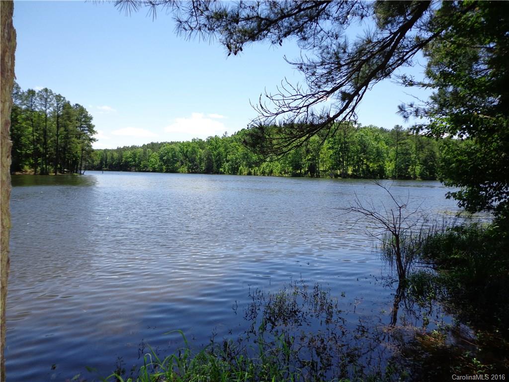 Lot 7 Mountain Lakes Road Chester, SC 29706 - Photo 12 of 15