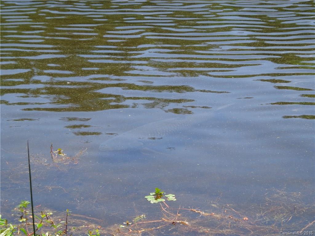 Lot 7 Mountain Lakes Road Chester, SC 29706 - Photo 14 of 15