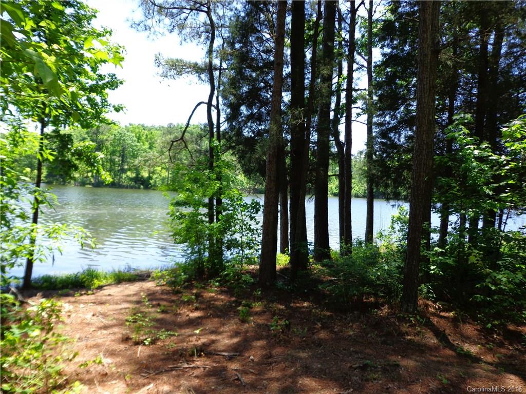 Lot 7 Mountain Lakes Road Chester, SC 29706 - Photo 3 of 15