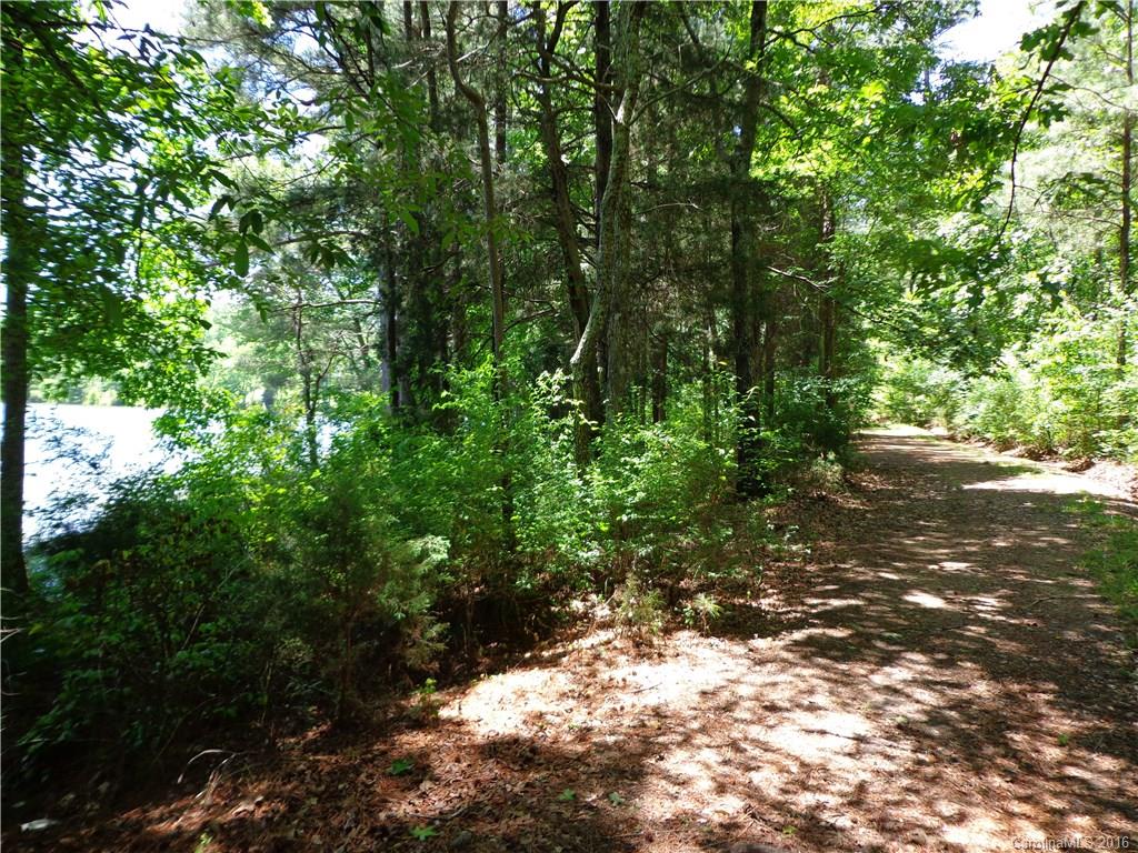 Lot 7 Mountain Lakes Road Chester, SC 29706 - Photo 4 of 15
