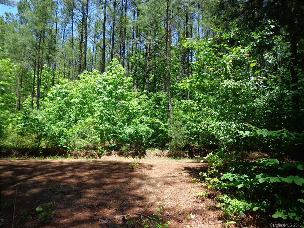 Lot 7 Mountain Lakes Road Chester, SC 29706 - Photo 5 of 15