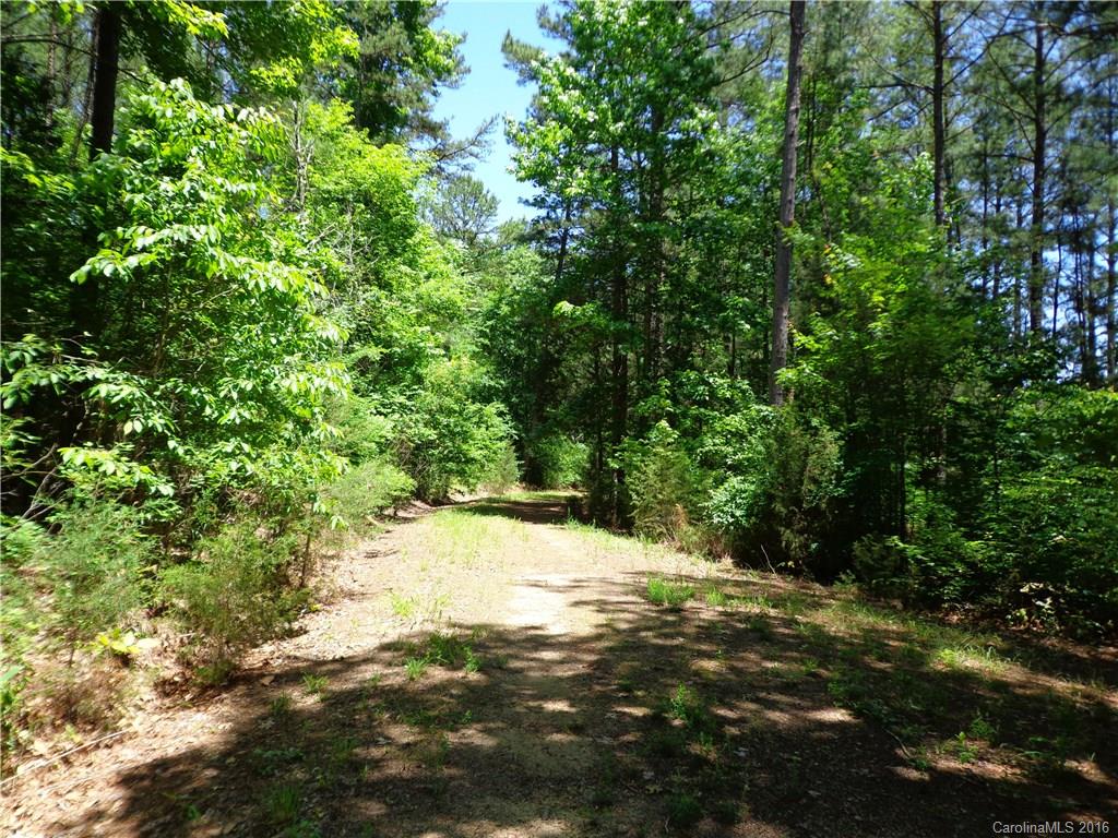 Lot 7 Mountain Lakes Road Chester, SC 29706 - Photo 6 of 15