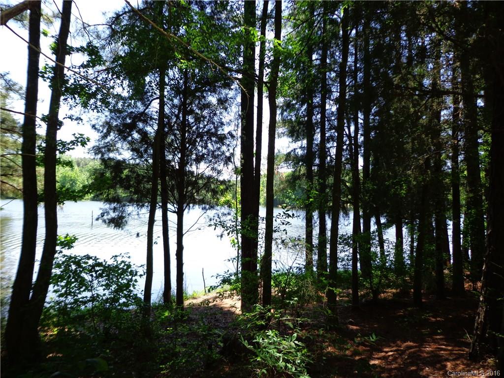 Lot 7 Mountain Lakes Road Chester, SC 29706 - Photo 7 of 15