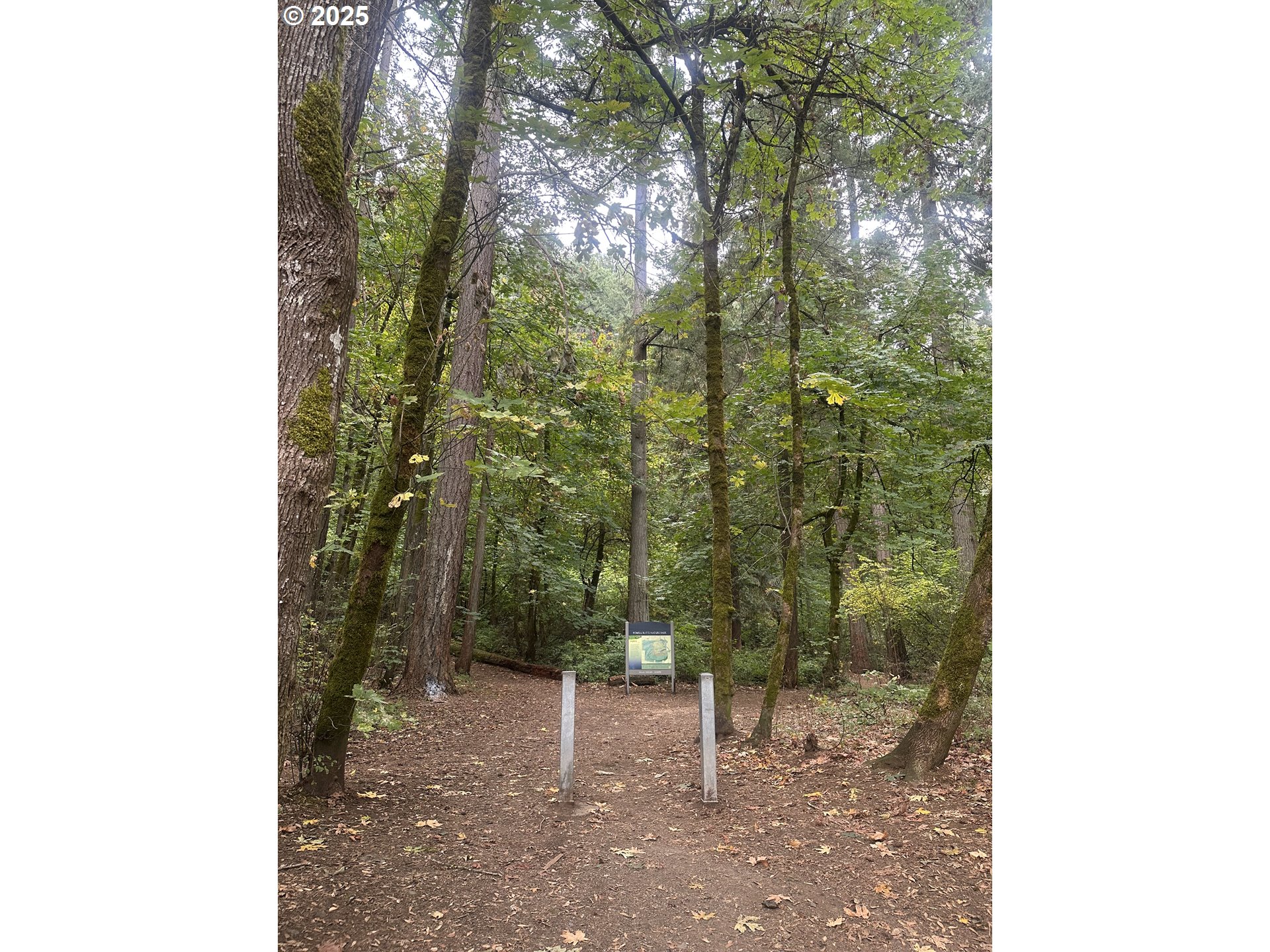 3905 Southeast 147th Avenue Portland, OR 97236 - Photo 21 of 26