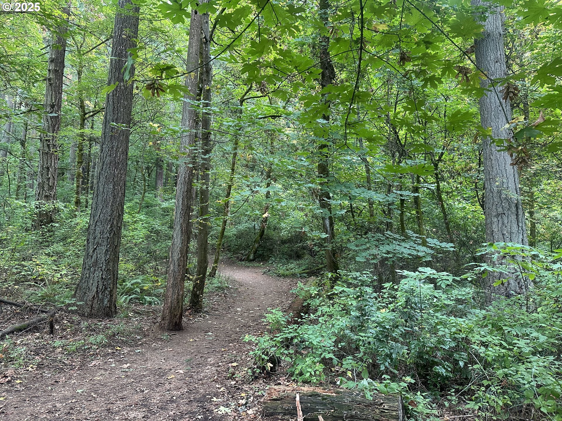 3905 Southeast 147th Avenue Portland, OR 97236 - Photo 23 of 26