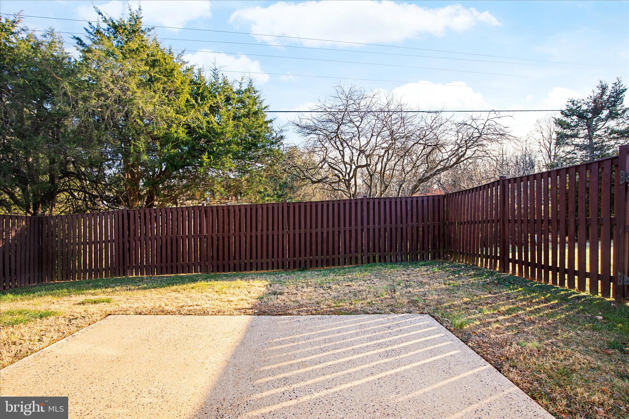 776 Ripplebrook Drive Culpeper, VA 22701 - Photo 19 of 30 a view of a backyard