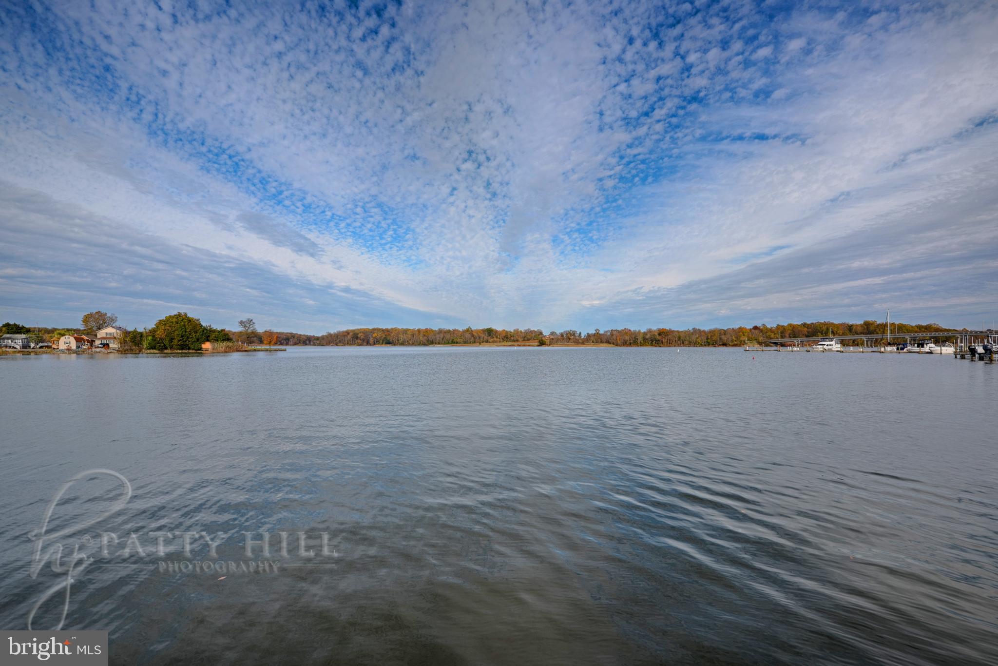 1670 Glebe Road Earleville, MD 21919 - Photo 18 of 35 The gorgeous Bohemia River
