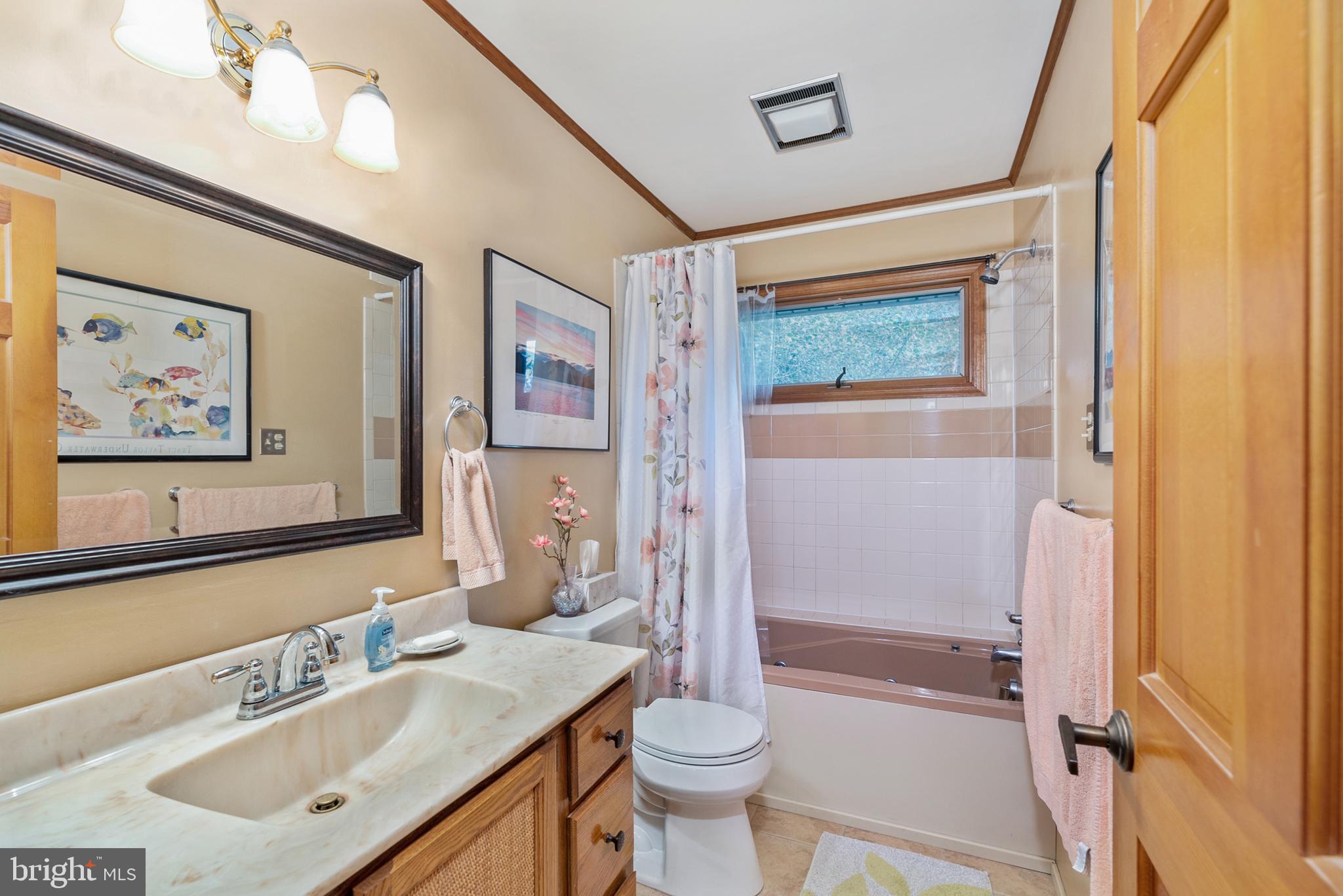 1670 Glebe Road Earleville, MD 21919 - Photo 31 of 35 Common Full bath