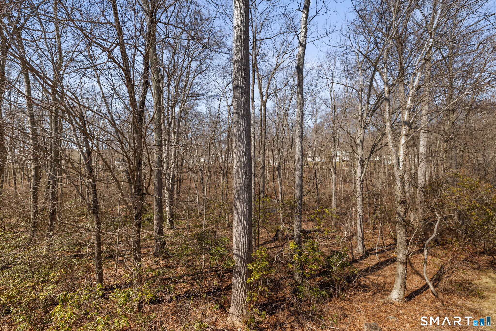 8 North Ridge, Unit 8 East Hampton, CT 06424 - Photo 6 of 37