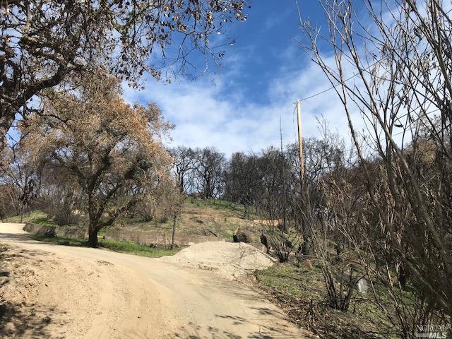 a view of a yard covered with snow in front of house