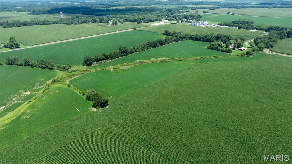 Xxx Xxx Elevator Road Walshville, IL 62091 - Photo 3 of 6 Gallery Image 3