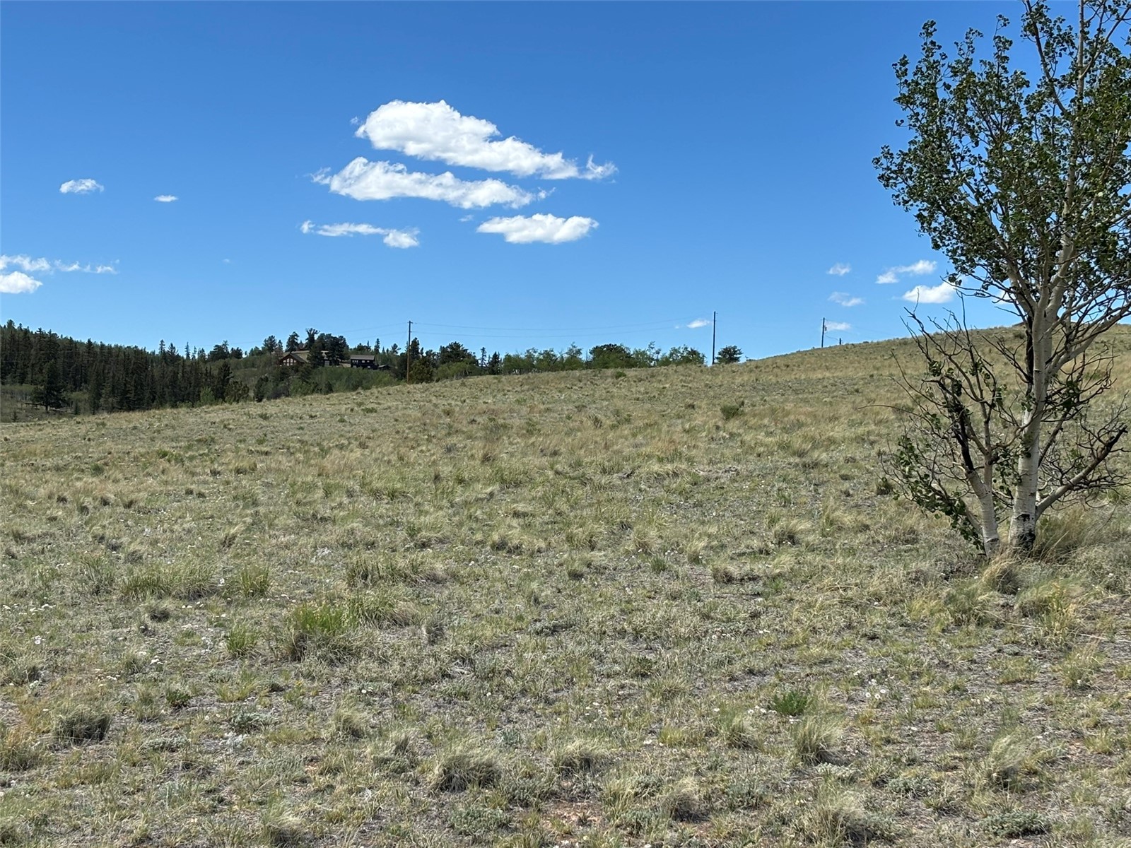 135 Hawk Way Como, CO 80432 - Photo 14 of 22 a view of a lake in middle of forest
