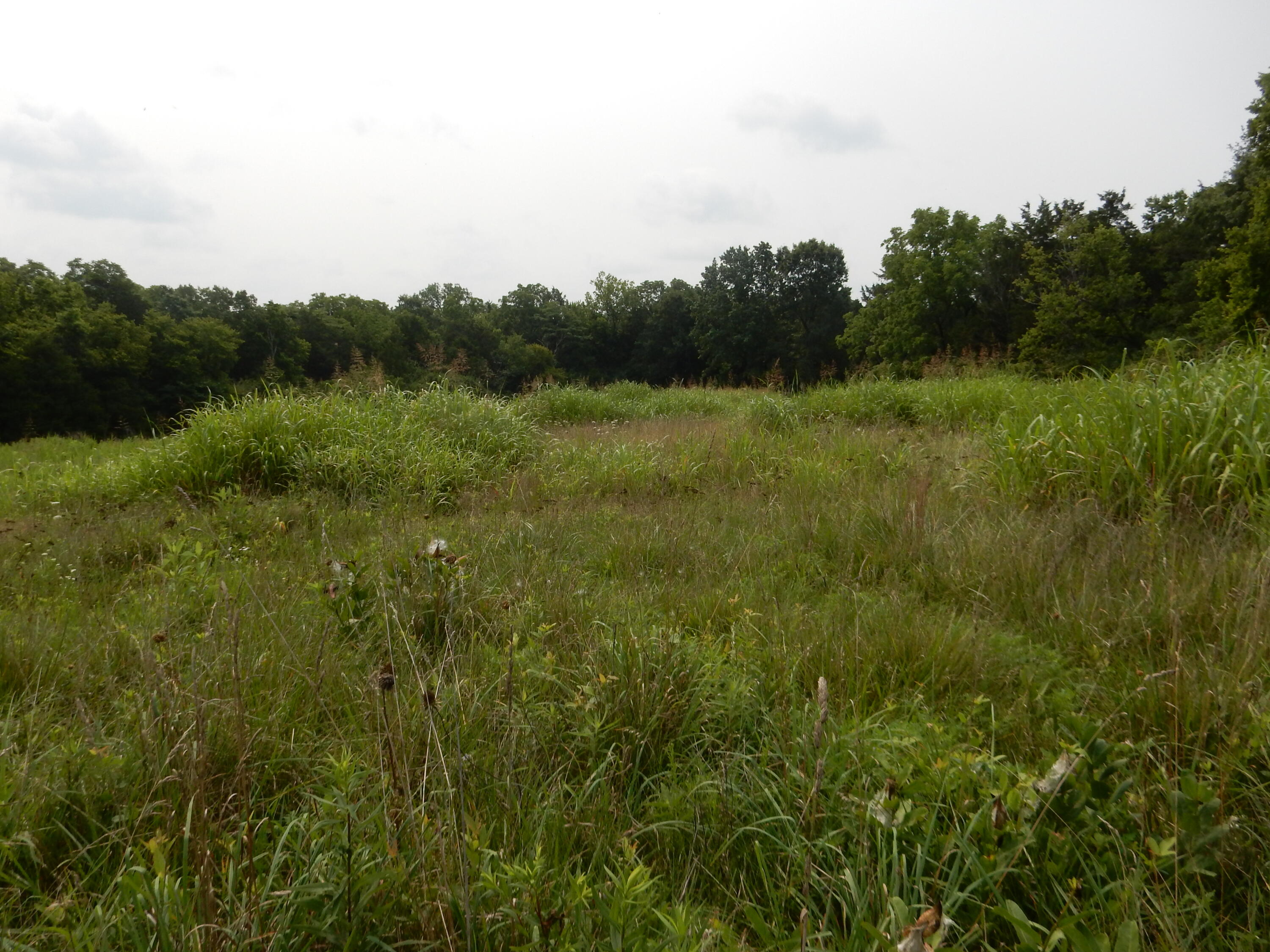 1081 Hifner Road Versailles, KY 40383 - Photo 80 of 91 1081 Hifner
