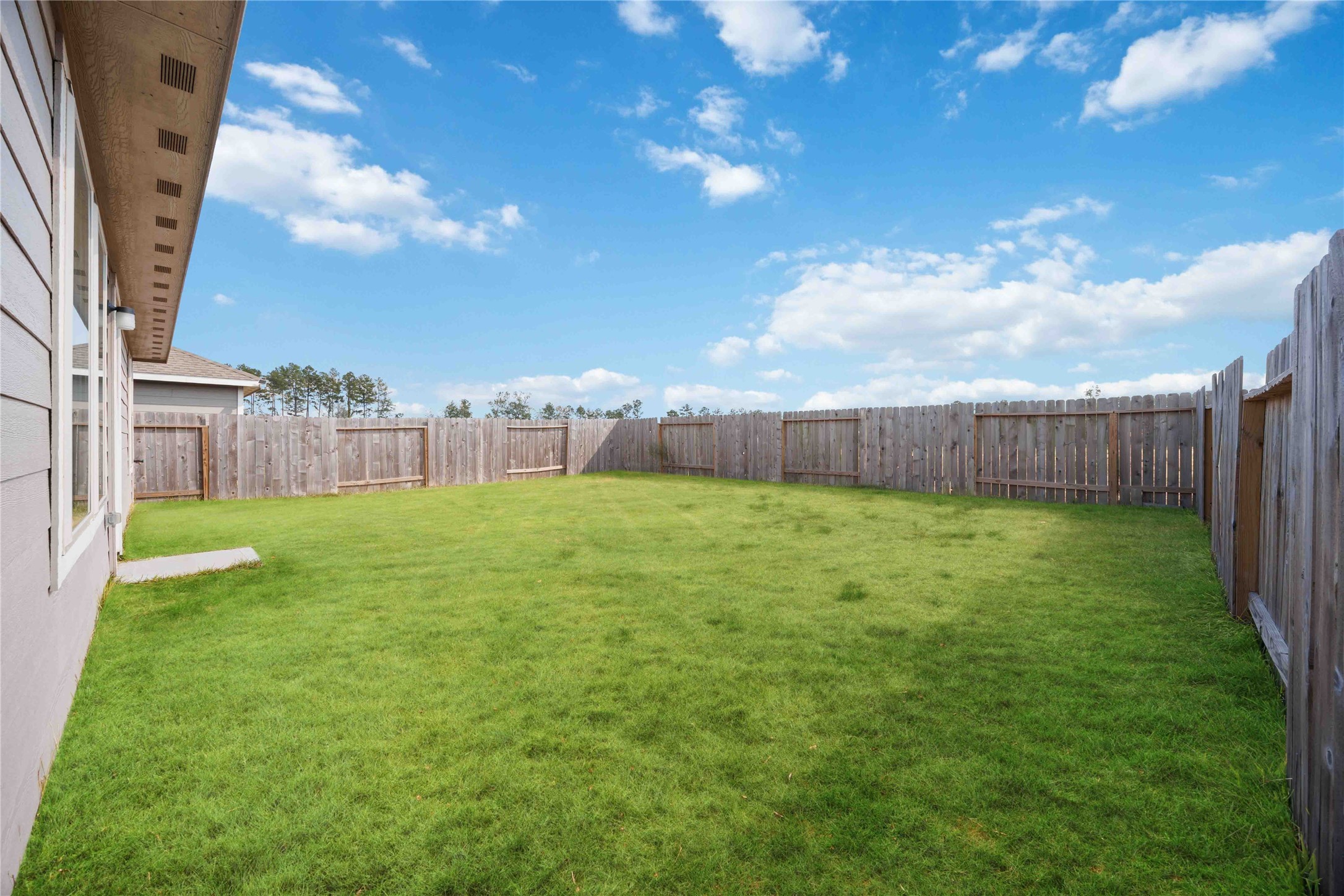 13920 Manatee Street Splendora, TX 77372 - Photo 21 of 25 Backyard