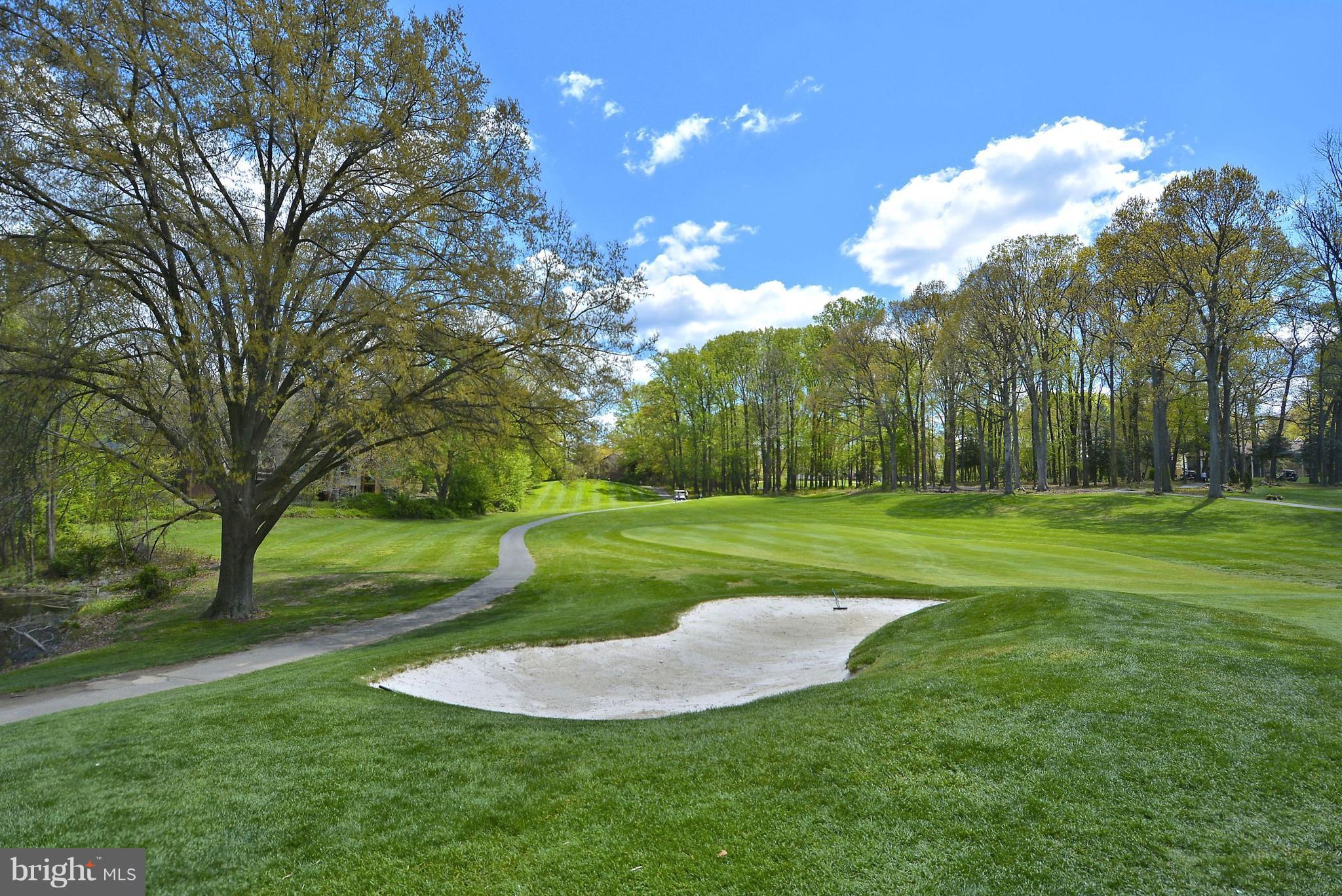 11796 Indian Ridge Road Reston, VA 20191 - Photo 24 of 30 a view of a golf course