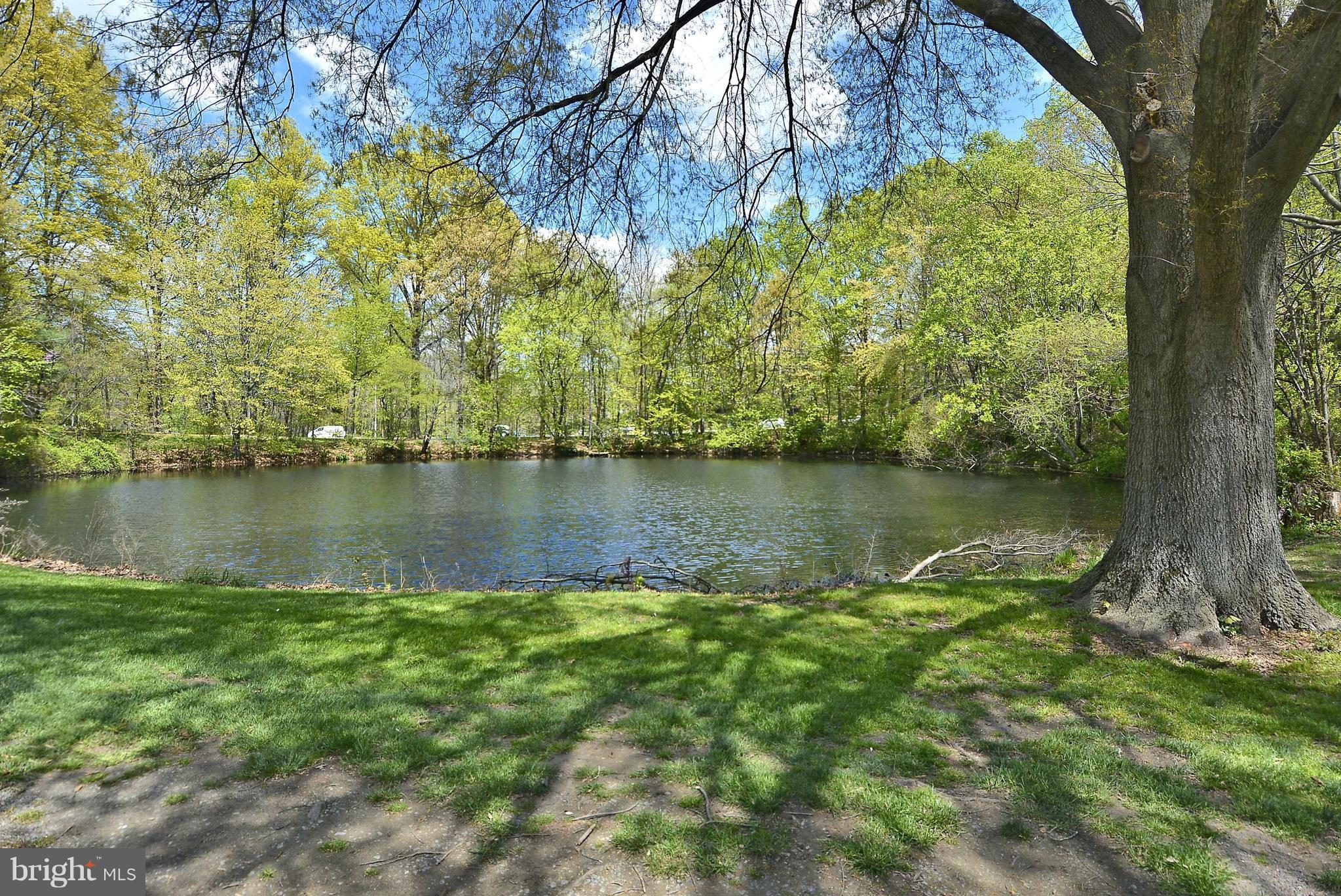 11796 Indian Ridge Road Reston, VA 20191 - Photo 25 of 30 a view of a lake view