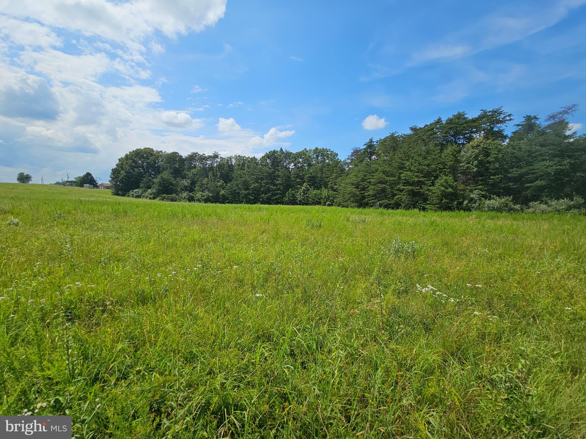 11145 Brent Town Road Catlett, VA 20119 - Photo 34 of 56 field facing North