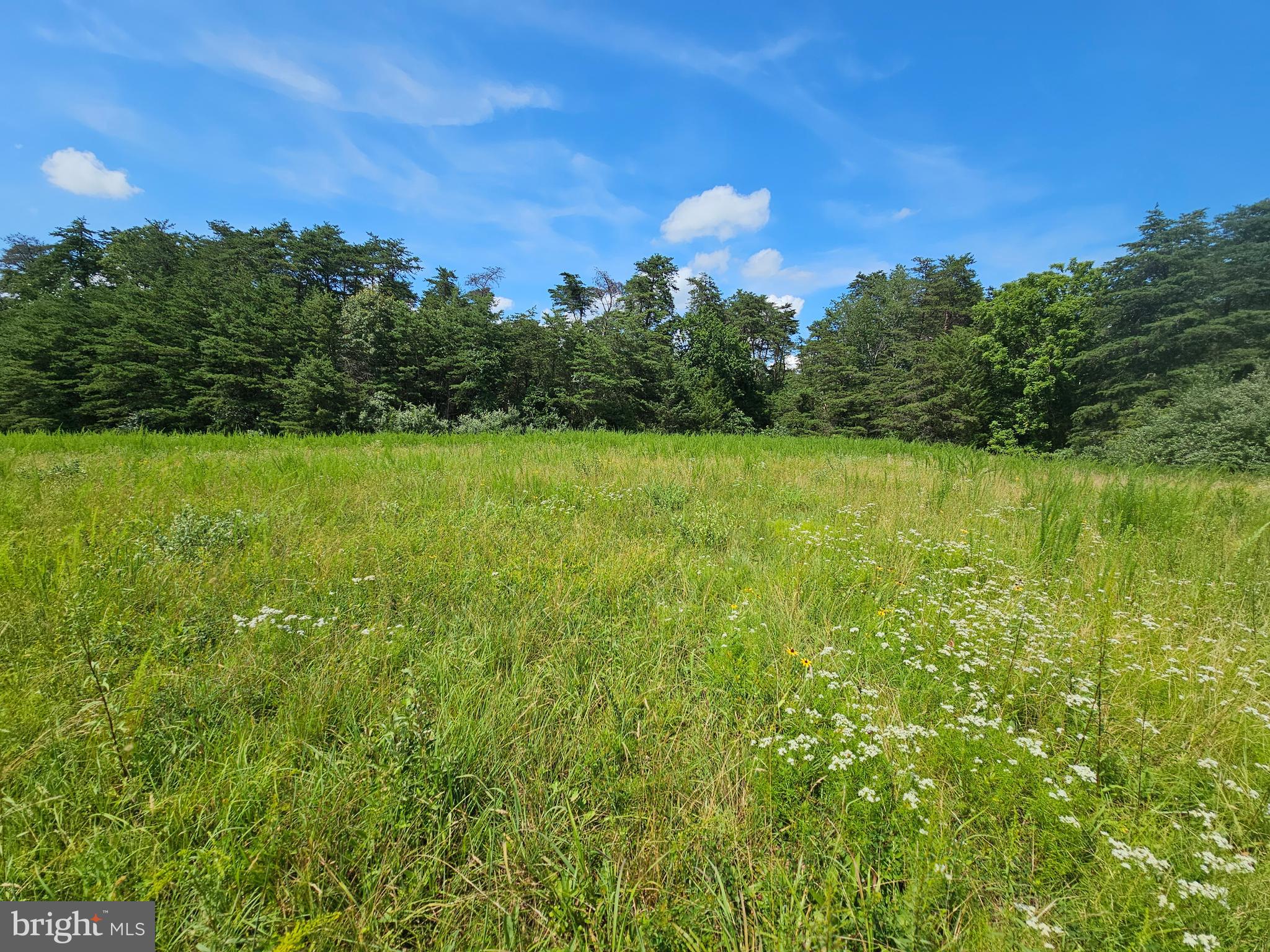 11145 Brent Town Road Catlett, VA 20119 - Photo 35 of 56 Field Facing North