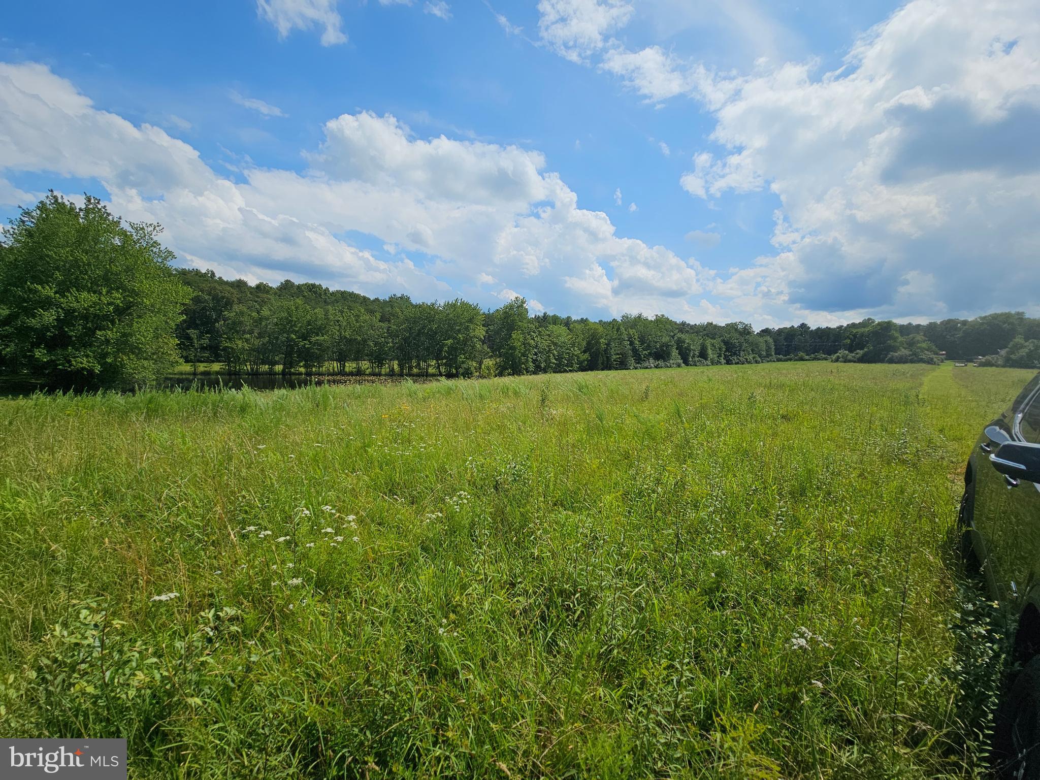 11145 Brent Town Road Catlett, VA 20119 - Photo 38 of 56 Field facing pond